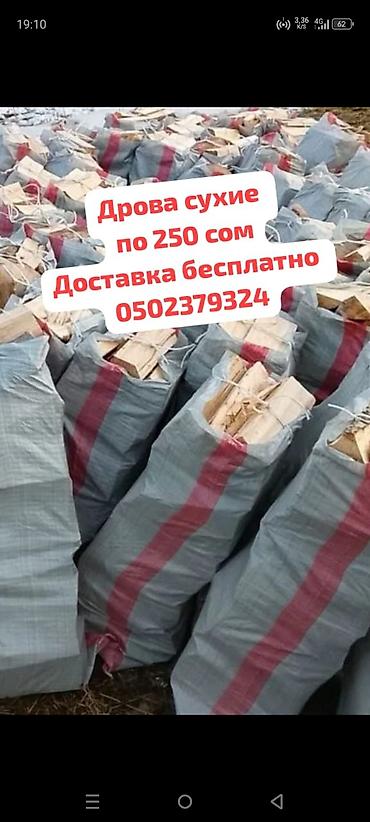 Дрова: Дрова — 2