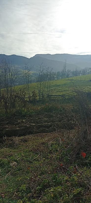 Torpaq sahələrinin satışı: Kənd təsərrüfatı — 9