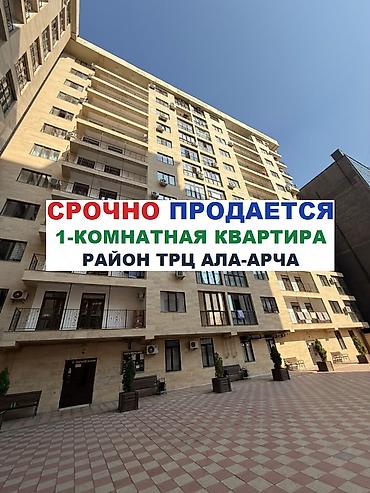 55: 1 комната, 55 м², Ала-Арча ТРЦ Элитка, 4 этаж, Косметический ремонт — 1