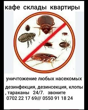 кел кел: Профессиональная дезинсекция и уничтожение насекомых - Полный — 1