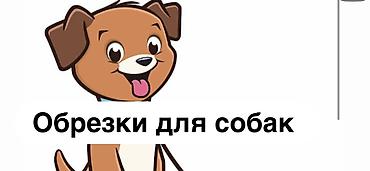ножки коровы: Кости — 1