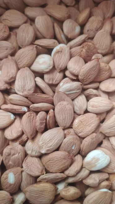 Сухофрукты, орехи, снеки: Ассалом алейкумбаткендин натуральный оругуарзан оптом сатылат — 9