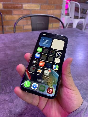 13 plus: IPhone 13 mini, Б/у, 256 ГБ, Черный, Чехол, 75 % — 1
