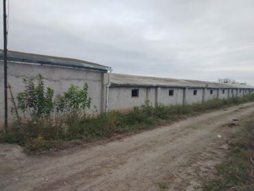 Torpaq sahələrinin satışı: 200 sot, Kənd təsərrüfatı, Mülkiyyətçi, Kupça (Çıxarış) -da lalafo.az — 4 Torpaq sahələrinin satışı: 200 sot, Kənd təsərrüfatı, Mülkiyyətçi, Kupça (Çıxarış) — 4