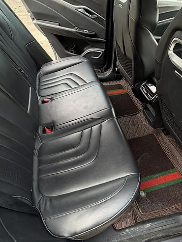 Weltmeister: Weltmeister 2022 г., 75000 км — 5