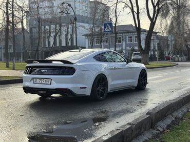 Ford: Ford Mustang: 2020 г., 2.3 л, Автомат, Бензин, Купе — 7