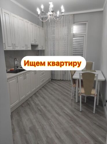 офисные стулья бишкек: Снимем квартиру желательно ближе к центру Бишкека, 5 студентов мужчин