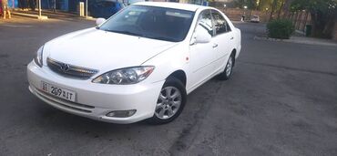 toyota camry цена: Toyota Camry: 2003 г., 2.4 л, Автомат, Газ, Седан