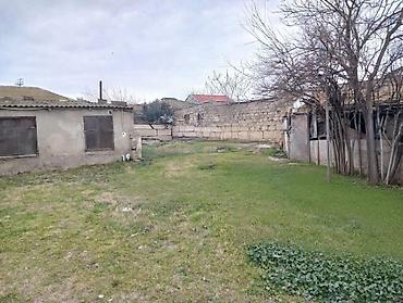 Torpaq: 21 sot, Mülkiyyətçi, Kupça (Çıxarış) — 5