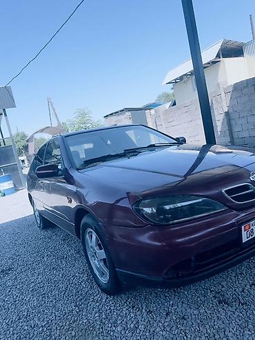 infinity g35: Nissan Primera: 2000 г., 2 л, Автомат, Бензин, Седан — 1
