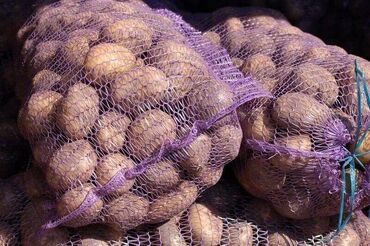 овощи лук: Картошка Джелли, В розницу