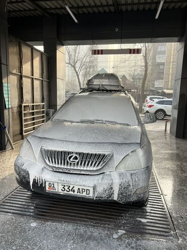 Lexus: Lexus RX: 2003 г., 0.3 л, Автомат, Газ, Внедорожник — 3