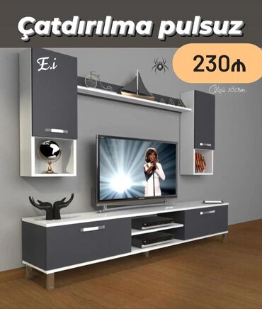 TV stent