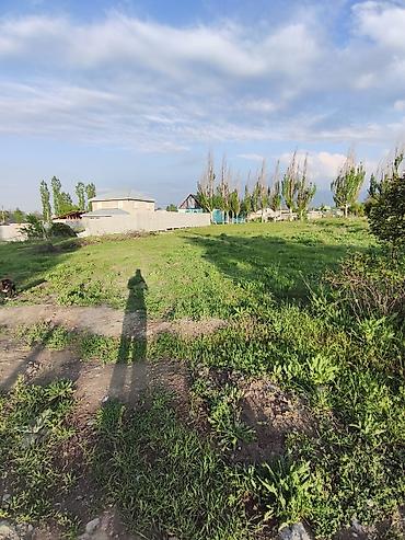 Продажа участков: 5 соток, Красная книга — 6