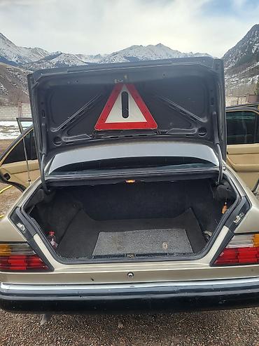 Mercedes-Benz: Mercedes-Benz W124: 1989 г., 2.3 л, Автомат, Бензин, Седан — 8