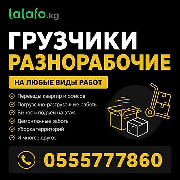 it hub: Грузчик. 3-5 лет опыта — 1
