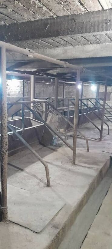 Продажа домов: Дом, 150 м², 5 комнат, Собственник, Евроремонт — 17