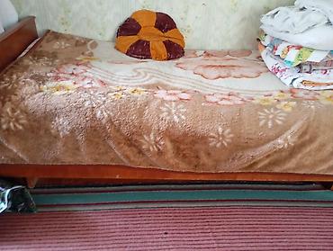алоэ цветы: Комнатные растения в горшках — коллекция - Разные виды декоративных — 1