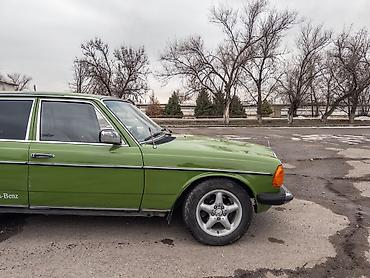 Mercedes-Benz: Mercedes-Benz W123: 1982 г., 3 л, Механика, Дизель, Седан — 5