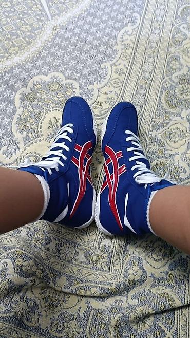 Мужские кроссовки, 39.5, Asics, Новый, цвет - Синий, Платная доставка at lalafo.kg Мужские кроссовки, 39.5, Asics, Новый, цвет - Синий, Платная доставка