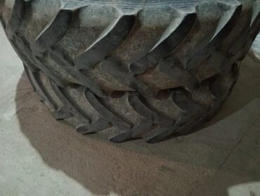 disk teker mersedes: Belshina kənd təsərrüfatı təkəri - Brend: Belshina - Növ