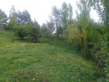 Torpaq sahələrinin satışı: 16 sot, Tikinti, Mülkiyyətçi, Kupça (Çıxarış) — 3