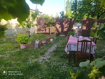 quba heyet evi: Quba rayonu 1ci Nigedi kendinde 3otaqli seliqeli ev gunluk kiraye — 9