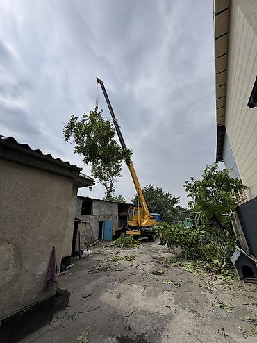 кран кемин: Стрела 21 м, 5000 т, Борт 5000 кг — 4