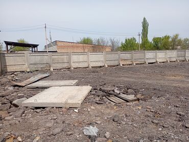 Заборы и ограждения: Заборы и ограждения