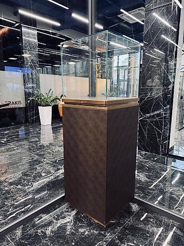 argus security systems: Витринная линия для шоурума/для золото (премиум класс) сделано под — 6