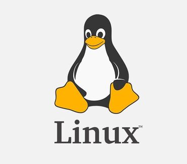 linux: Ремонт | Ноутбуки, компьютеры | С гарантией, С выездом на дом