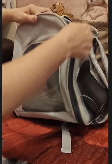 Зоотовары: Ev heyvanları üçün daşıma çantası/backpack tipli daşıyıcı. Açıq boz — 2