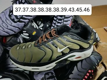 Patike: Akcija š£
2850 din na lalafo.rs ā 16 Patike: Akcija š£
2850 din ā 16