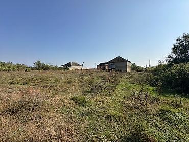 binə atçılıq torpaq: 23 sot, Kənd təsərrüfatı, Mülkiyyətçi, Kupça (Çıxarış) — 7