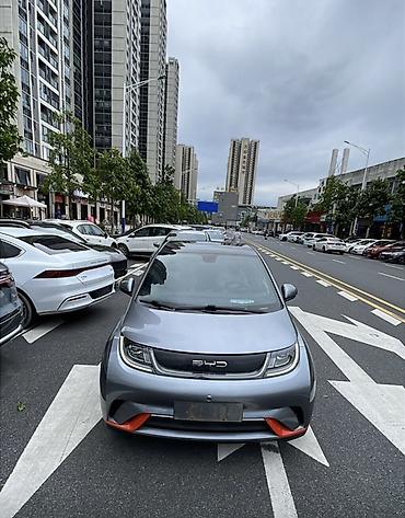 толка оптом: BYD Dolphin: 2022 г., Электромобиль, Хэтчбэк — 1