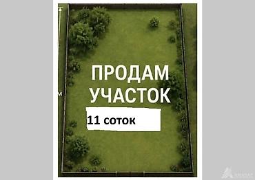 11 соток, Для бизнеса, Красная книга, Тех паспорт