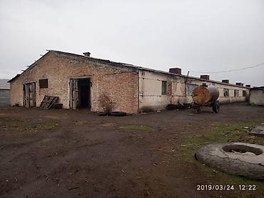 сараи кашары: Птицеферма, 67 соток — 7