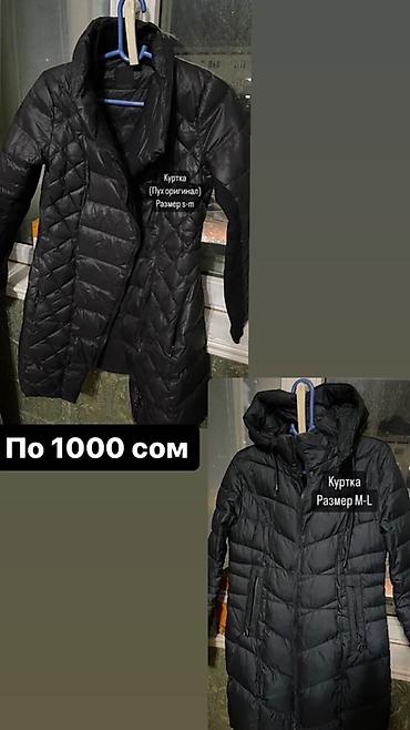 куртки тедди: Черные женские пуховые куртки. 1) Модель 1: удлиненная, стеганая — 1
