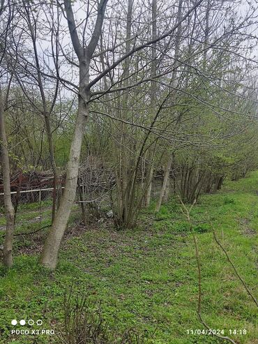 Torpaq sahələrinin satışı: 18 sot, Tikinti, Mülkiyyətçi, Kupça (Çıxarış) — 6