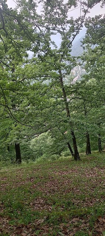 Həyət evləri və villaların satışı: 3 otaqlı, 100 kv. m, Orta təmir — 21