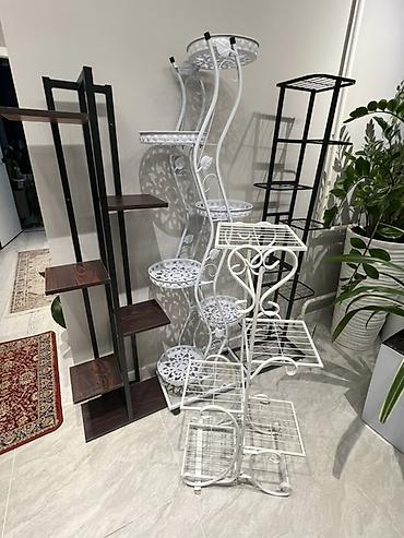 Драцены и Сансевиерии: Доставка по городу бесплатно . Адаптированные пересаженные Комнатные — 26