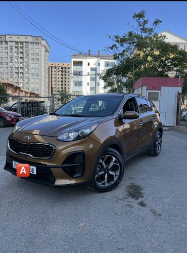 Kia: Kia Sportage: 2019 г., 2.4 л, Автомат, Бензин, Кроссовер