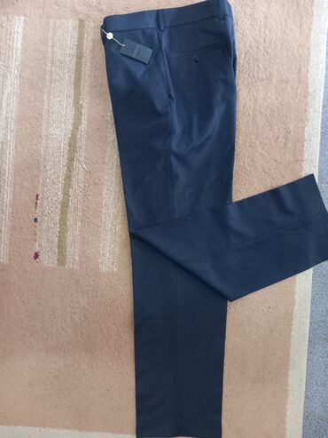 muške jakne cena: Pantalone 5XL (EU 50), bоја - Tamnoplava