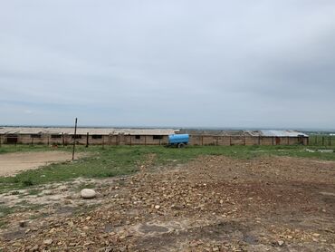 дом арча бешик: Сатам Кой короо, 100 соток, Иштеп жаткан, Жарым-жартылай жабдуулары менен, Электр энергиясы