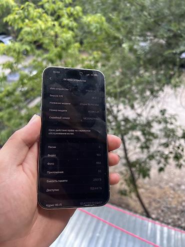 iphone 17e: IPhone 15 Pro Max, Б/у, 256 ГБ, Серебристый, Зарядное устройство, 98 % — 3