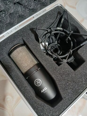 петличка микрофон: Конденсаторный микрофон AKG P220 в комплекте с держателем-пауком и