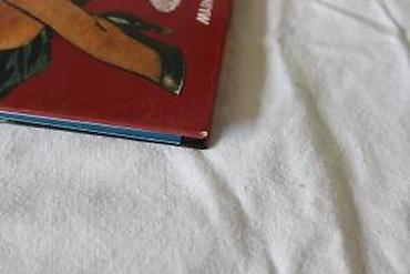 Stripovi: PERLE 17, PINAP 3 (HC), DARKWOOD | Odlično očuvan. Nečitan. Sitni — 12