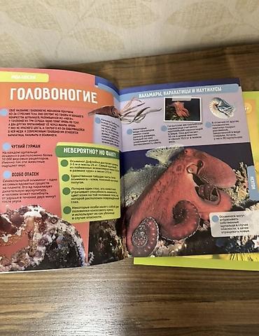 Школьные учебники: Hamısına 15 man 6 eded kitab 3 eded enseklopediya təzədir! Uşaqlar — 4