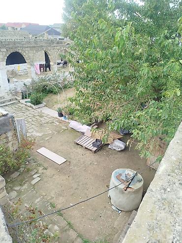 cepis satisi: Şaganda 124 saylı məktəbin arxasin da 3sot kvadrat torpaq sahəsi — 1