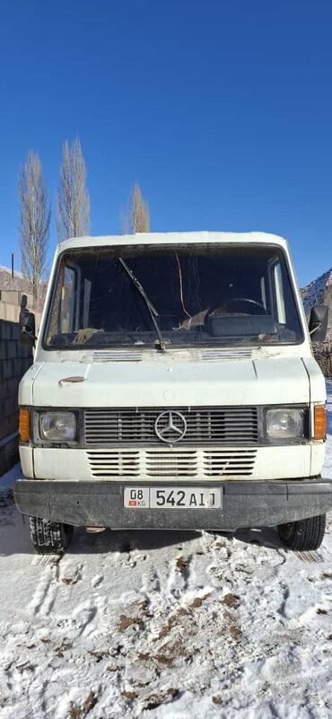 зимние мужские сапоги для рыбалки: Mercedes-Benz : 1991 г., 3 л, Механика, Дизель, Бус